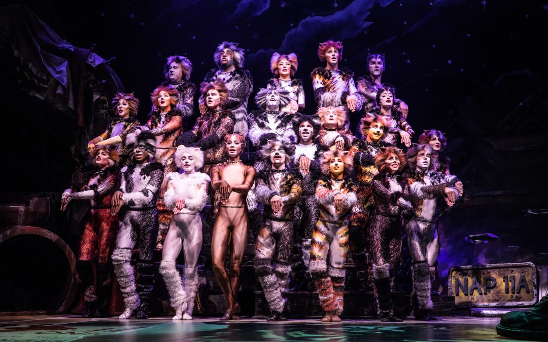 CATS on the Prowl at Hobby Center